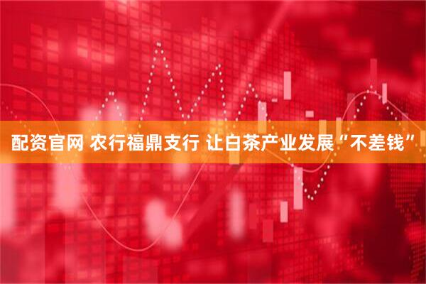 配资官网 农行福鼎支行 让白茶产业发展“不差钱”