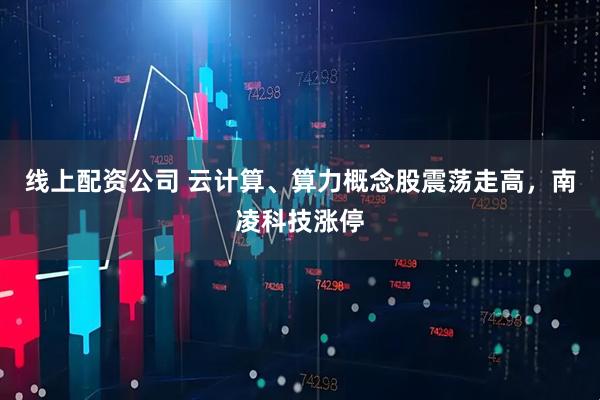 线上配资公司 云计算、算力概念股震荡走高，南凌科技涨停